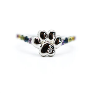 14K Rainbow Beamer Ring